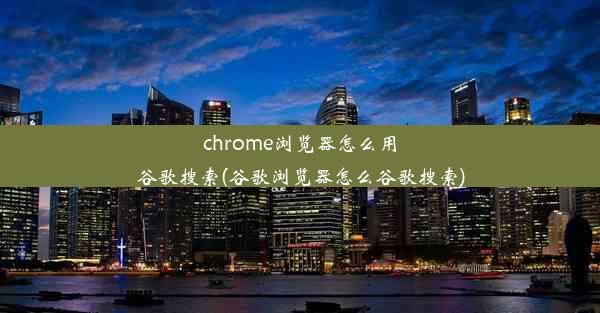 chrome浏览器怎么用谷歌搜索(谷歌浏览器怎么谷歌搜索)