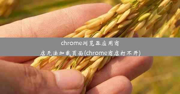 chrome浏览器应用商店无法加载页面(chrome商店打不开)