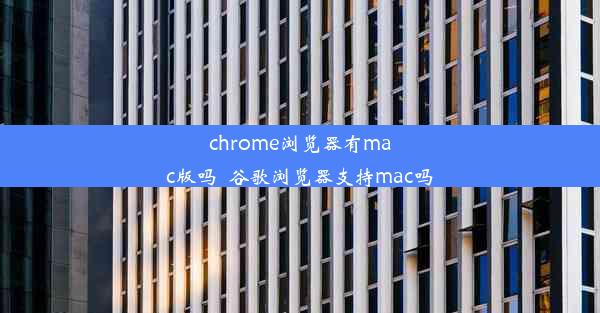 chrome浏览器有mac版吗_谷歌浏览器支持mac吗