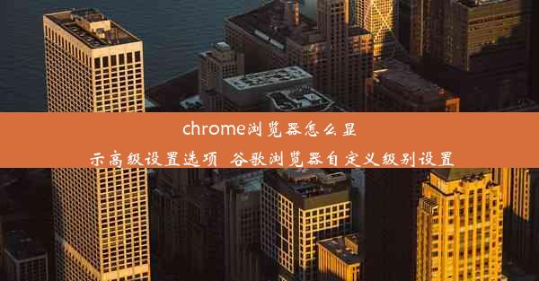 chrome浏览器怎么显示高级设置选项_谷歌浏览器自定义级别设置