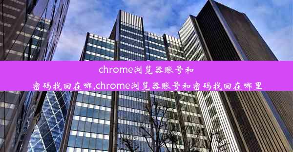 chrome浏览器账号和密码找回在哪,chrome浏览器账号和密码找回在哪里