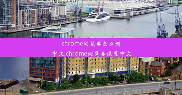 chrome浏览器怎么调中文,chrome浏览器设置中文