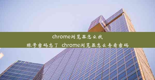 chrome浏览器怎么找账号密码忘了_chrome浏览器怎么查看密码