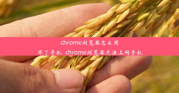 chrome浏览器怎么用不了手机_chrome浏览器无法上网手机