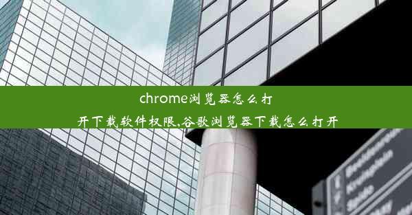 chrome浏览器怎么打开下载软件权限,谷歌浏览器下载怎么打开