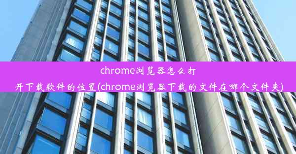 chrome浏览器怎么打开下载软件的位置(chrome浏览器下载的文件在哪个文件夹)