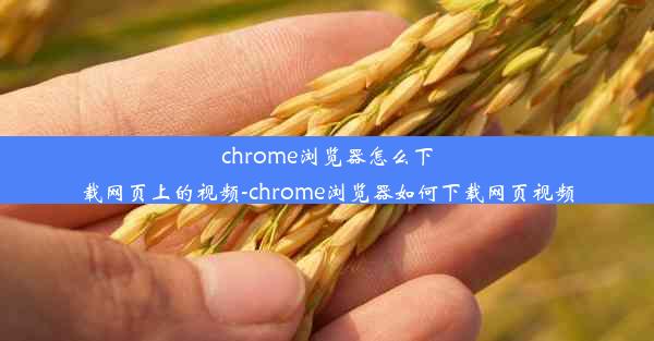 chrome浏览器怎么下载网页上的视频-chrome浏览器如何下载网页视频