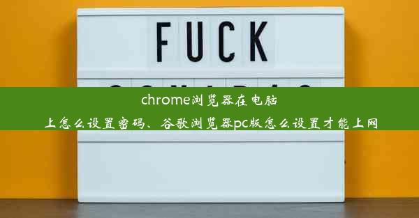 chrome浏览器在电脑上怎么设置密码、谷歌浏览器pc版怎么设置才能上网