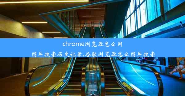 chrome浏览器怎么用图片搜索历史记录,谷歌浏览器怎么图片搜索