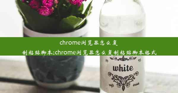 chrome浏览器怎么复制粘贴脚本;chrome浏览器怎么复制粘贴脚本格式