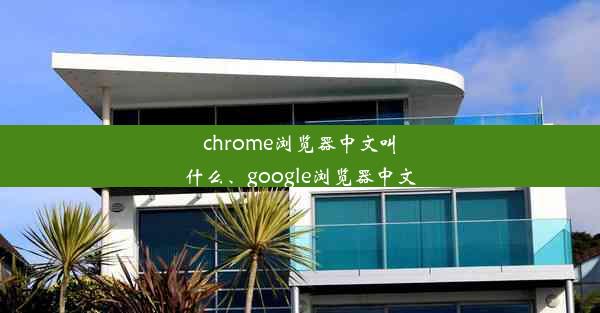 chrome浏览器中文叫什么、google浏览器中文