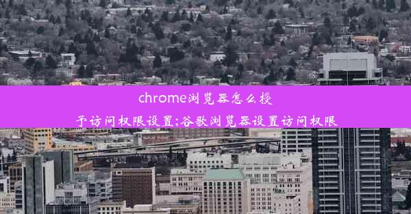 chrome浏览器怎么授予访问权限设置;谷歌浏览器设置访问权限