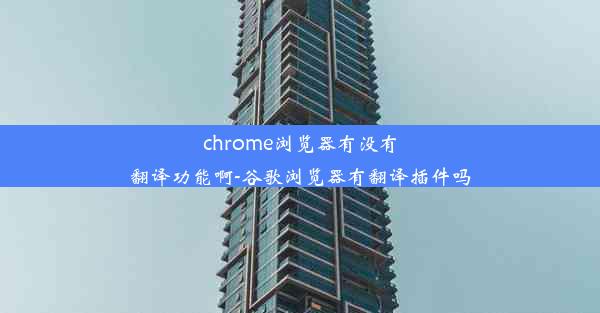 chrome浏览器有没有翻译功能啊-谷歌浏览器有翻译插件吗