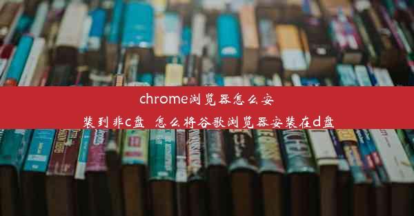 chrome浏览器怎么安装到非c盘_怎么将谷歌浏览器安装在d盘