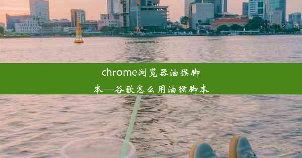 chrome浏览器油猴脚本—谷歌怎么用油猴脚本