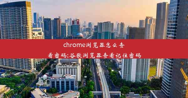 chrome浏览器怎么查看密码;谷歌浏览器查看记住密码