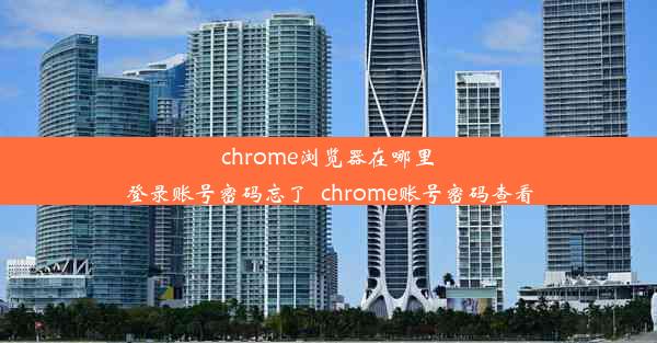 chrome浏览器在哪里登录账号密码忘了_chrome账号密码查看