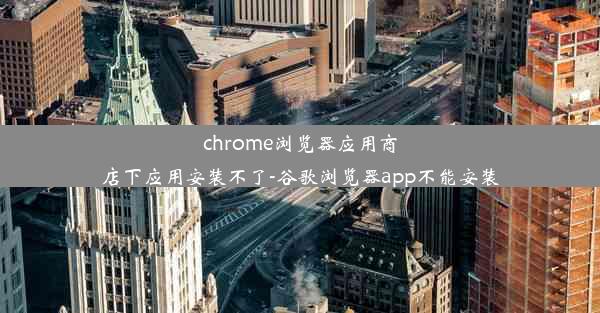 chrome浏览器应用商店下应用安装不了-谷歌浏览器app不能安装