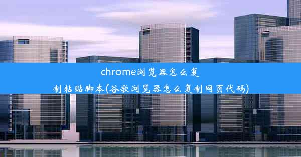 chrome浏览器怎么复制粘贴脚本(谷歌浏览器怎么复制网页代码)