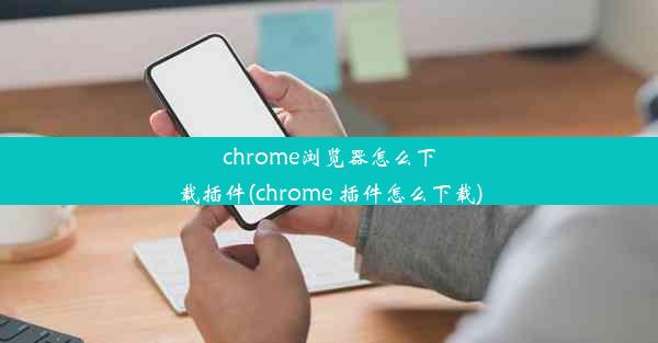 chrome浏览器怎么下载插件(chrome 插件怎么下载)