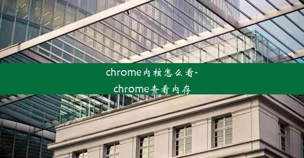 chrome内核怎么看-chrome查看内存