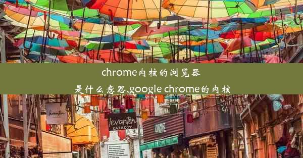 chrome内核的浏览器是什么意思,google chrome的内核