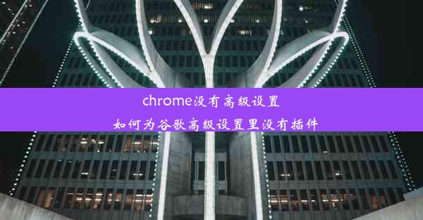 chrome没有高级设置_如何为谷歌高级设置里没有插件