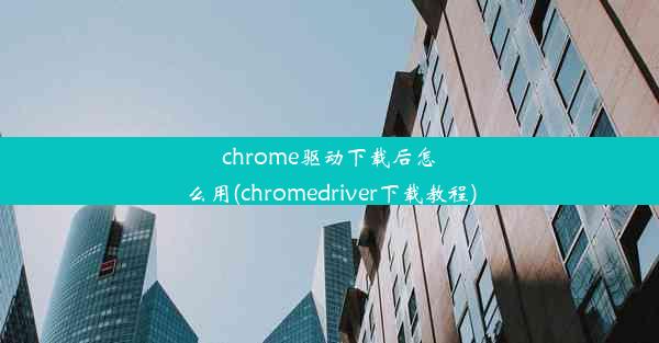 chrome驱动下载后怎么用(chromedriver下载教程)