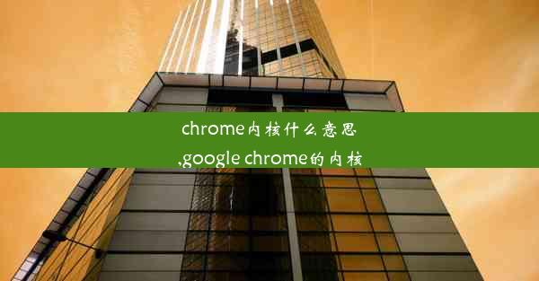 chrome内核什么意思,google chrome的内核