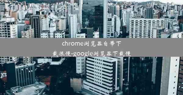 chrome浏览器自带下载很慢-google浏览器下载慢