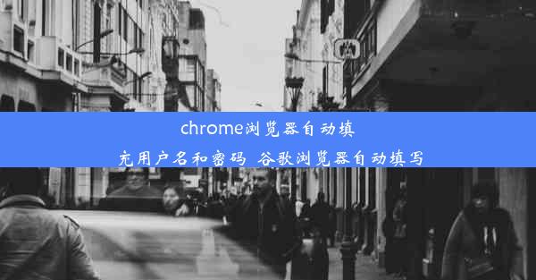 chrome浏览器自动填充用户名和密码_谷歌浏览器自动填写