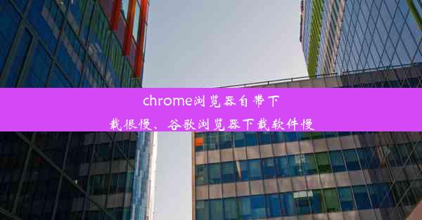 chrome浏览器自带下载很慢、谷歌浏览器下载软件慢