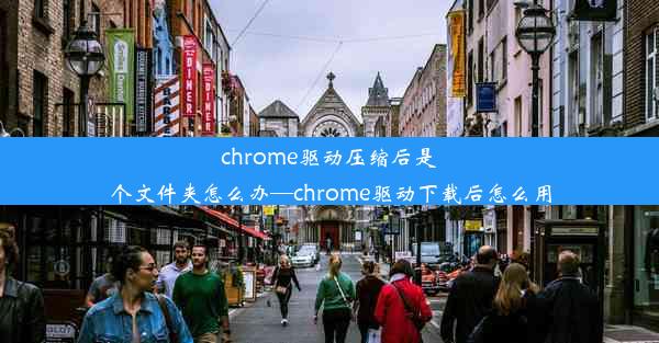 chrome驱动压缩后是个文件夹怎么办—chrome驱动下载后怎么用