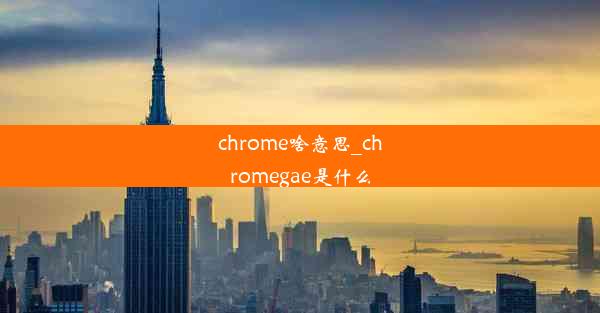 chrome啥意思_chromegae是什么