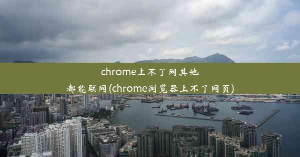 chrome上不了网其他都能联网(chrome浏览器上不了网页)