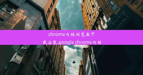 chrome内核浏览器下载安装,google chrome内核