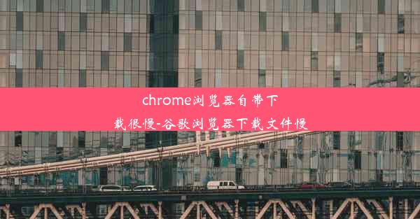 chrome浏览器自带下载很慢-谷歌浏览器下载文件慢