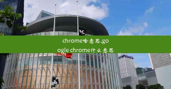 chrome啥意思,google chrome什么意思