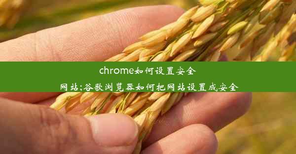 chrome如何设置安全网站;谷歌浏览器如何把网站设置成安全