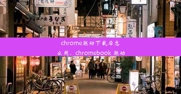 chrome驱动下载后怎么用、chromebook 驱动