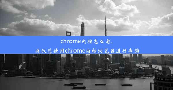 chrome内核怎么看,建议您使用chrome内核浏览器进行查询