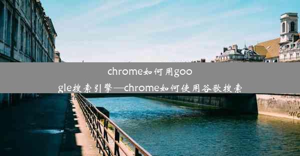 chrome如何用google搜索引擎—chrome如何使用谷歌搜索