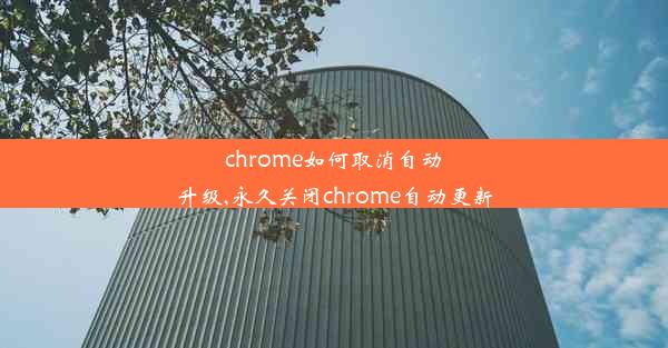 chrome如何取消自动升级,永久关闭chrome自动更新