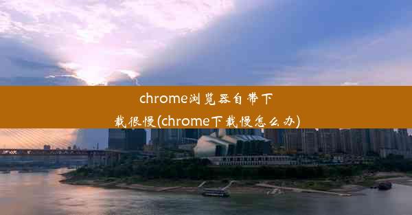 chrome浏览器自带下载很慢(chrome下载慢怎么办)