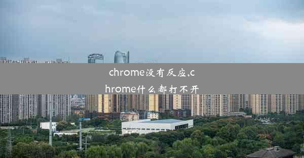 chrome没有反应,chrome什么都打不开