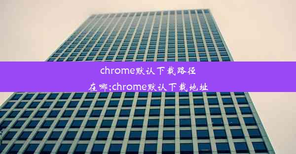 chrome默认下载路径在哪;chrome默认下载地址