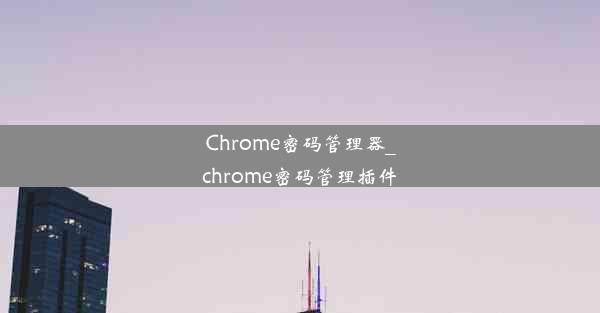 Chrome密码管理器_chrome密码管理插件