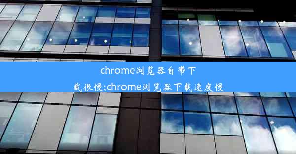 chrome浏览器自带下载很慢;chrome浏览器下载速度慢