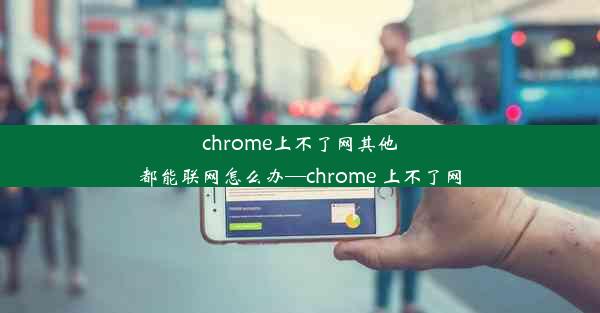 chrome上不了网其他都能联网怎么办—chrome 上不了网