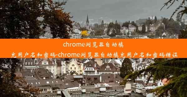 chrome浏览器自动填充用户名和密码-chrome浏览器自动填充用户名和密码错误